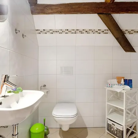Apartment 'am Waldrand' Bad Gottleuba-Berggiesshuebel